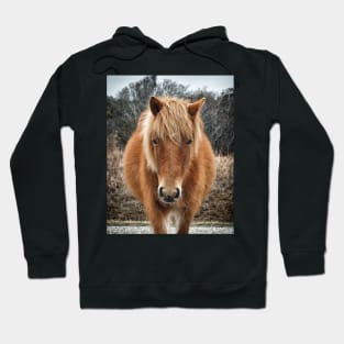 Assateague Island Horse Mieke’s Noe’lani Hoodie